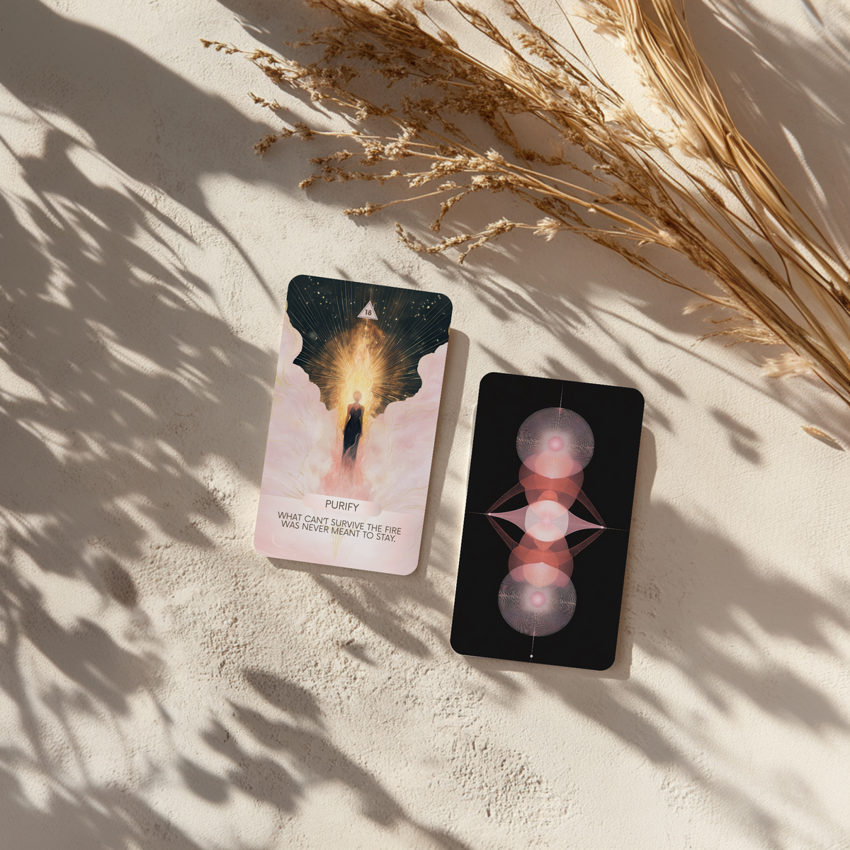 Dark Femme Spirit oracle deck with Reiki attunement