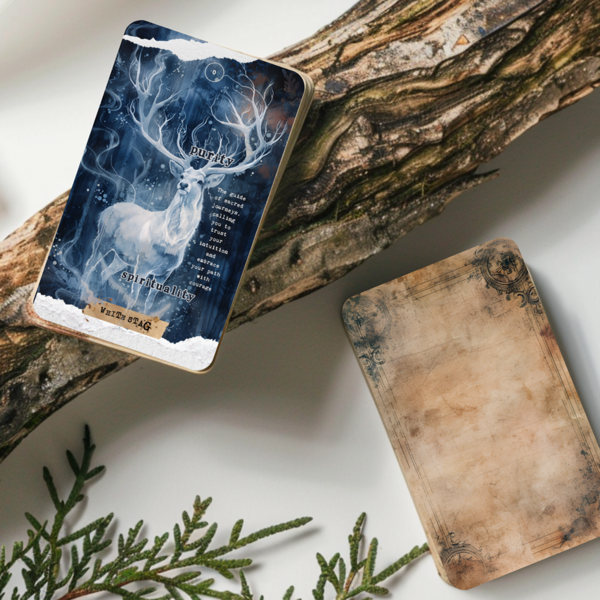 Scrapbook of Animal Spirit Oracle Deck displayed with nature elements such as wood, moss. A dreamy, mystical tool for connecting with spirit animals and uncovering inner wisdom through vibrant collage imagery. Perfect for those on a journey of self-discovery, shadow work, or inner healing.
